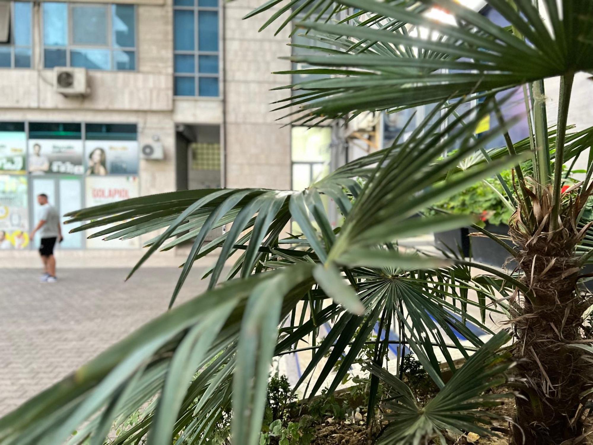 New Baazar Terrace Apartman Tirana